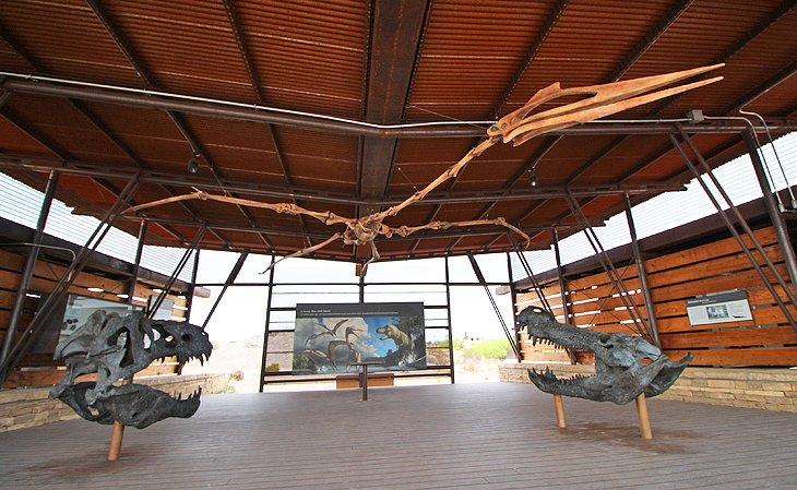 En savoir plus sur l'histoire naturelle de la région au Fossil Discovery Exhibit