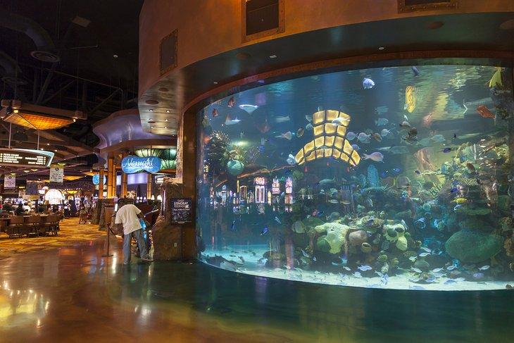 Aquarium à l'hôtel Silverton