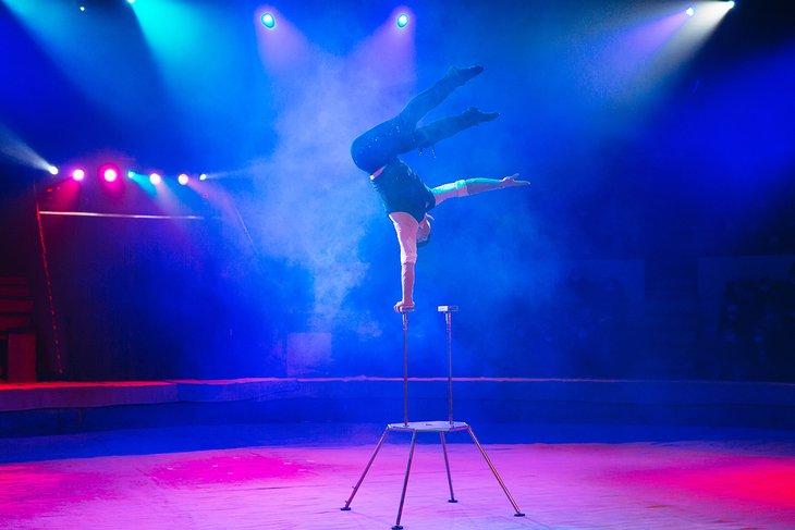 Artiste de cirque