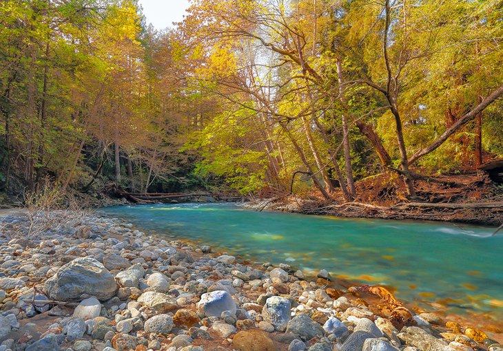 Río Big Sur en otoño
