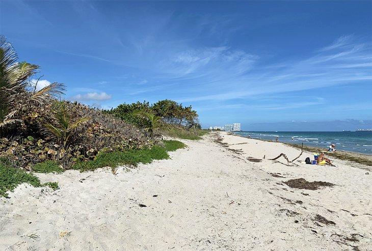 La plage au parc d'État Dr. Von D. Mizell-Eula Johnson