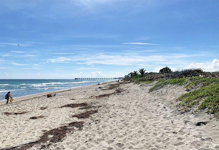Dania Pier au loin à Dania Beach