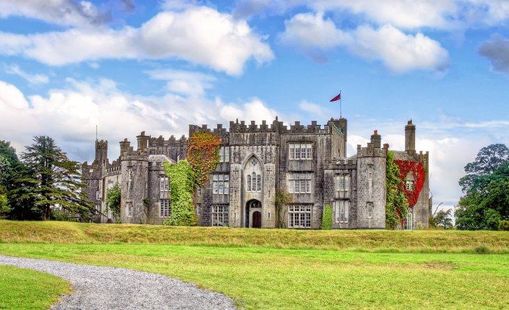Castillo Birr
