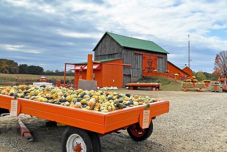 Puesto de Gene el Hombre Calabaza