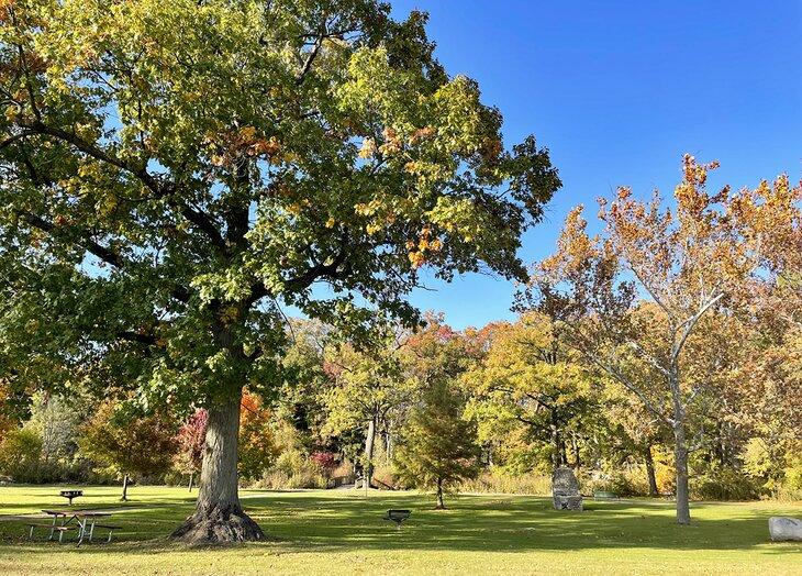 Parque Milham