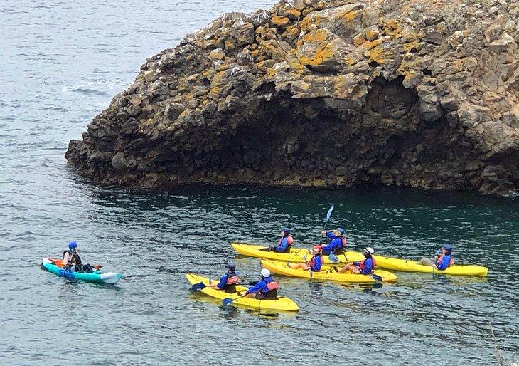 Kayakistas en la Isla Santa Cruz