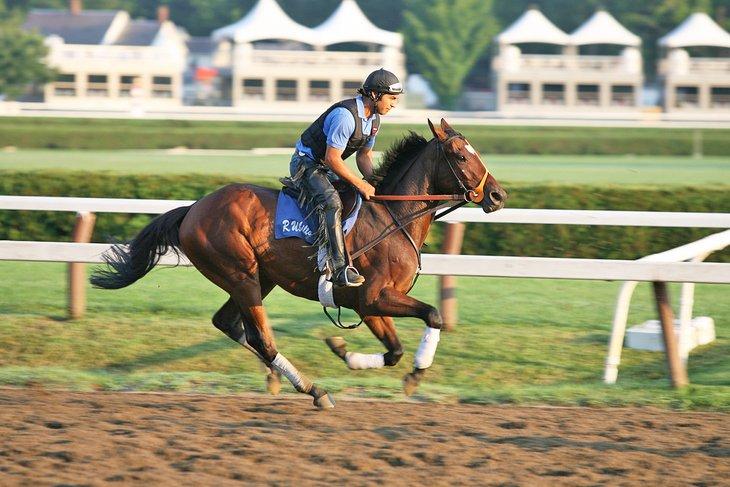 Cavalier à l'Hippodrome de Saratoga