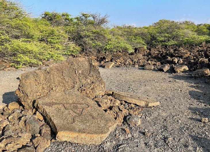 Pétroglyphes le long du Sentier Malama