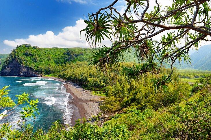 Vue depuis le sentier Pololu