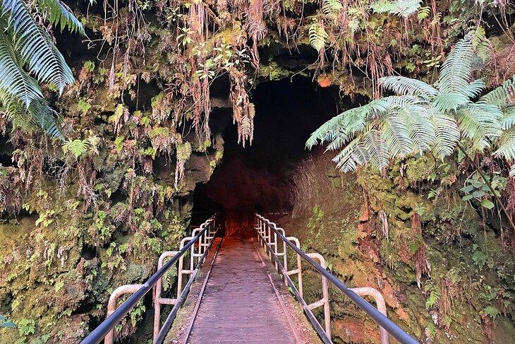 Sentier du Tube de Lave Thurston