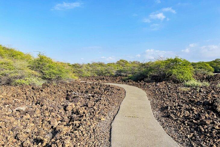 Chemin à travers un champ de lave sur le Sentier Malama sur la Grande Île d'Hawaï