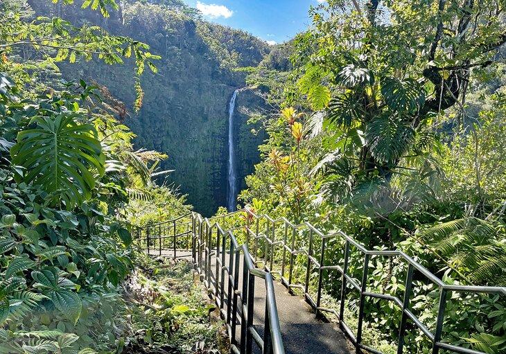 Sentier Akaka Falls