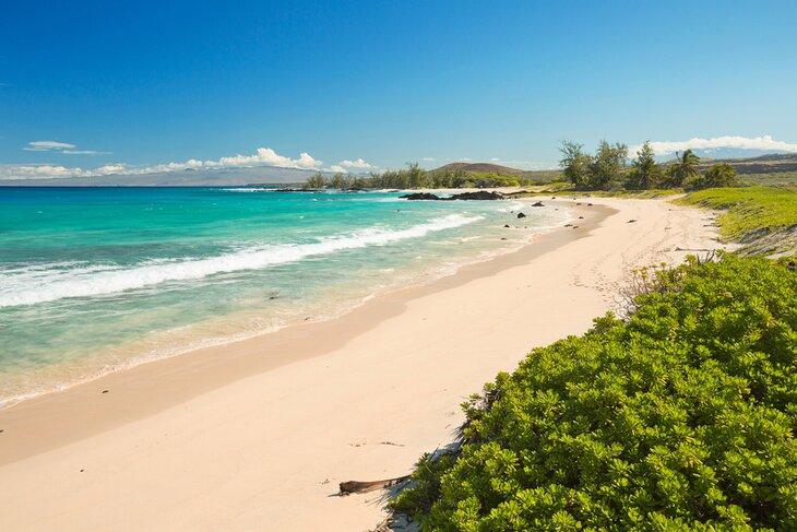 Plage de Makalawena