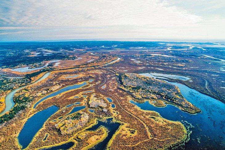 Vista aérea del Parque Nacional Wood Buffalo