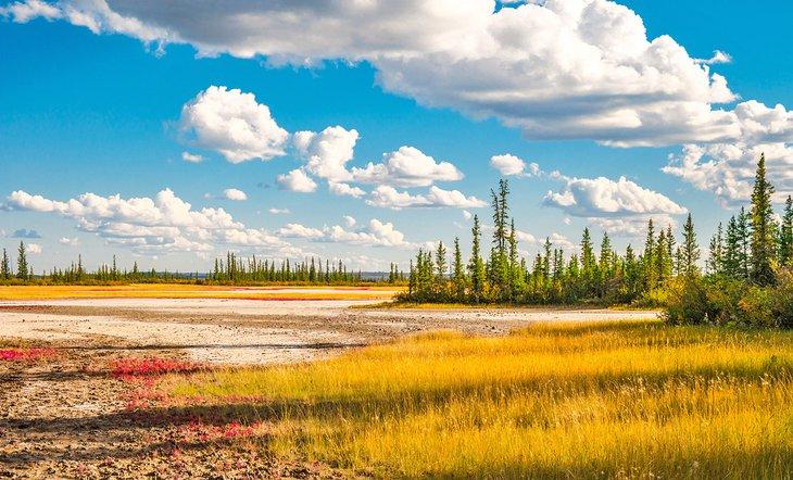 Llanuras salinas en el Parque Nacional Wood Buffalo