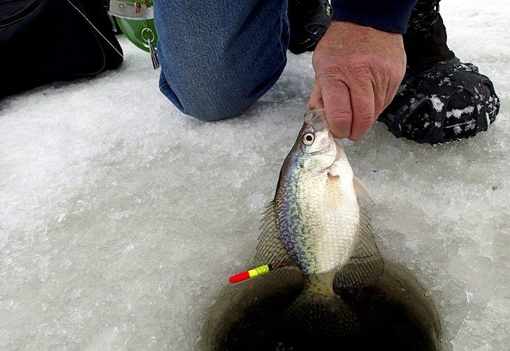 Pêche sur glace au Grand Lac St. Marys