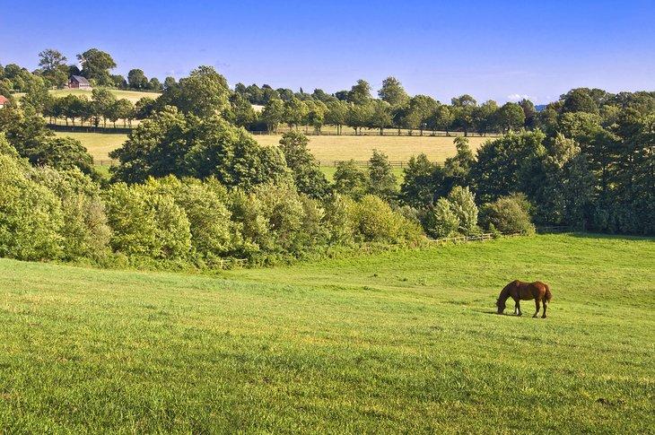 Normandische Landschaft