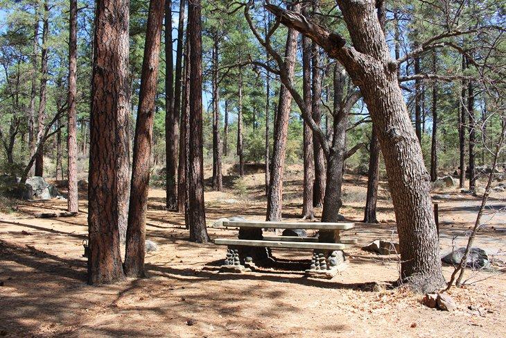 Camping Lower Wolf Creek