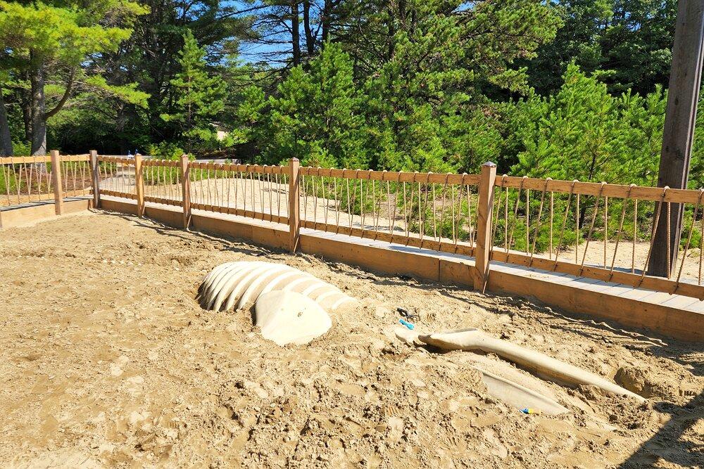 Fouille Fossile au Désert du Maine | Photo Copyright: Lura R Seavey