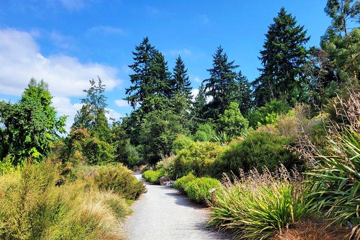 Camino en Washington Park Arboretum