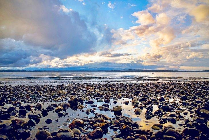 Carkeek Park