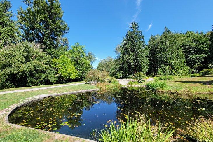 Estanque en Washington Park Arboretum