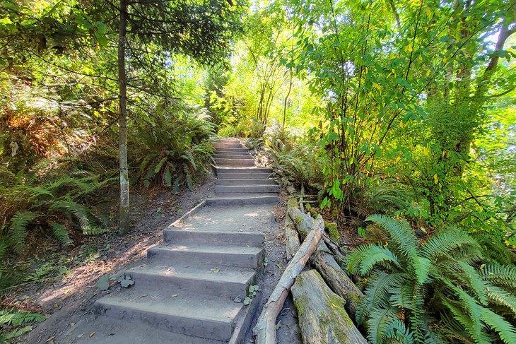 Sendero en Discovery Park
