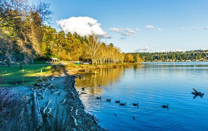Costa en Seward Park