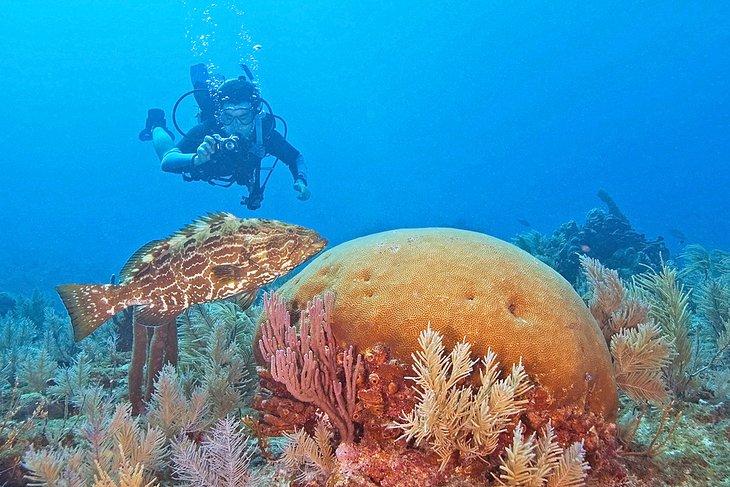 Buceo en Key Largo