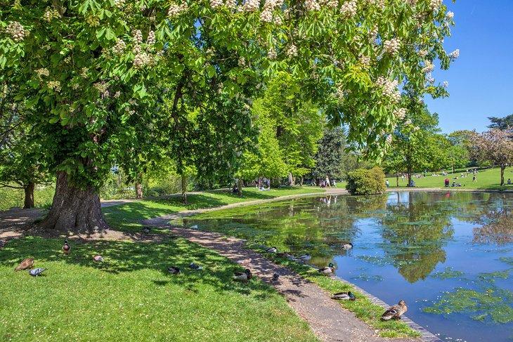 Castillo Park
