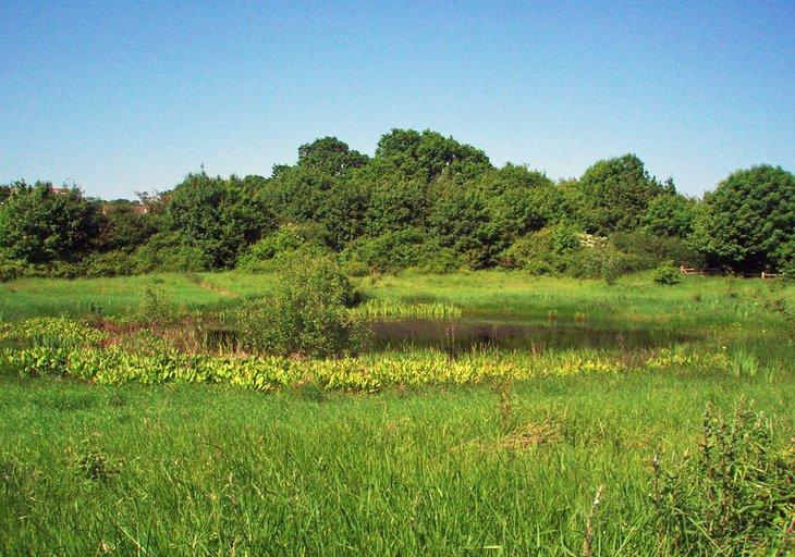 Highwoods Country Park