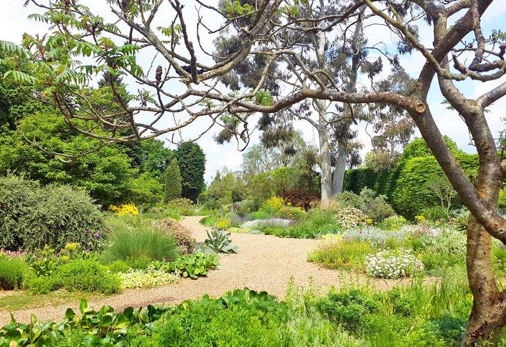 Plantas y jardines de Beth Chatto