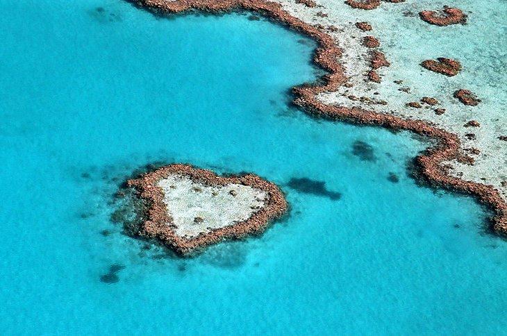 Corazón de Arrecife