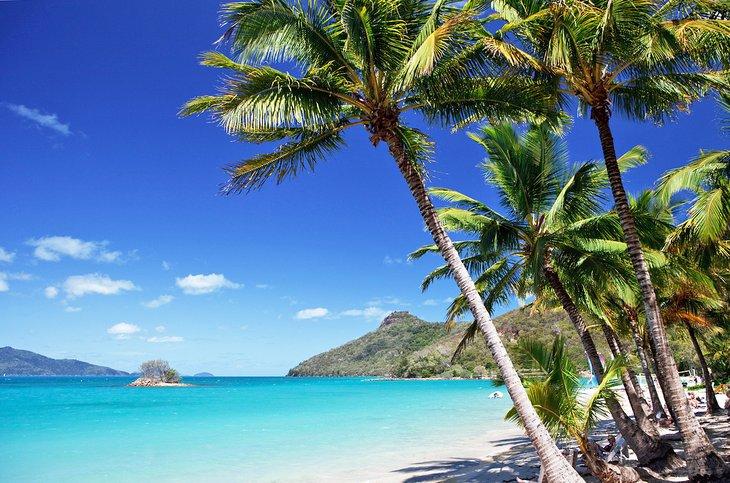 Isla Hamilton en las Islas Whitsunday
