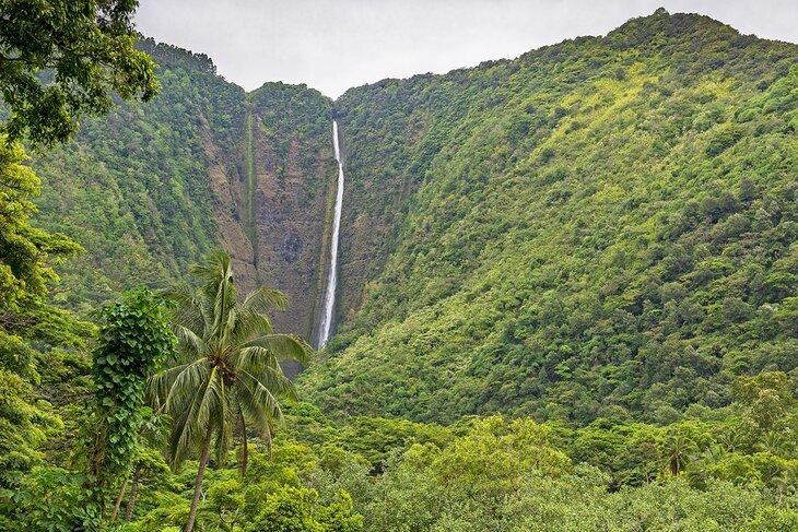 Chutes Hi'ilawe