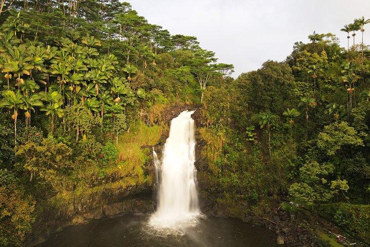 Chutes Kulaniapia