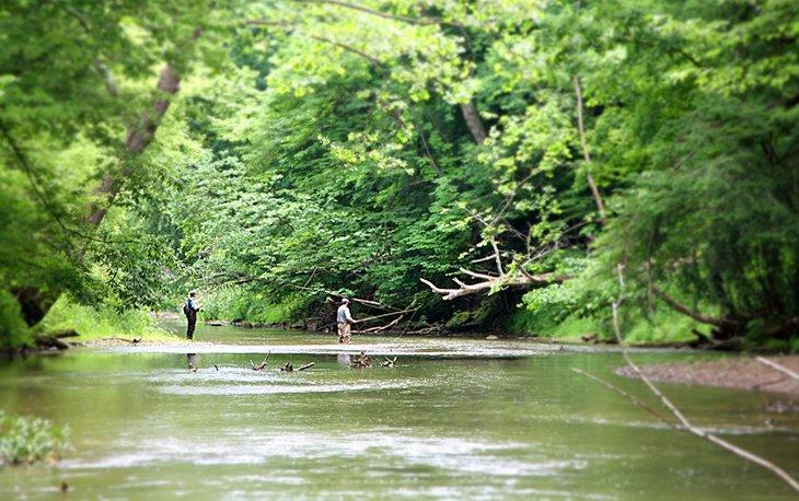 Pesca con mosca