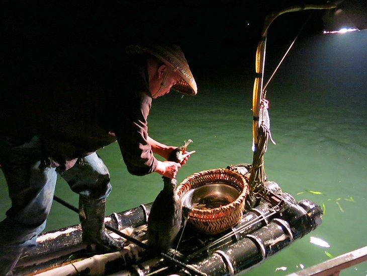 Pesca con cormoranes