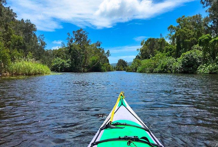 Kayak deslizándose por los Everglades de Noosa