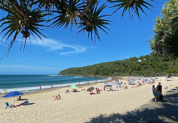 Playa Principal de Noosa