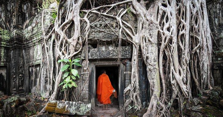 Un monje budista en el Templo Ta Prohm, Angkor Wat