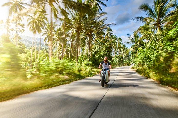 Scooter auf einer palmengesäumten Straße in Koh Samui