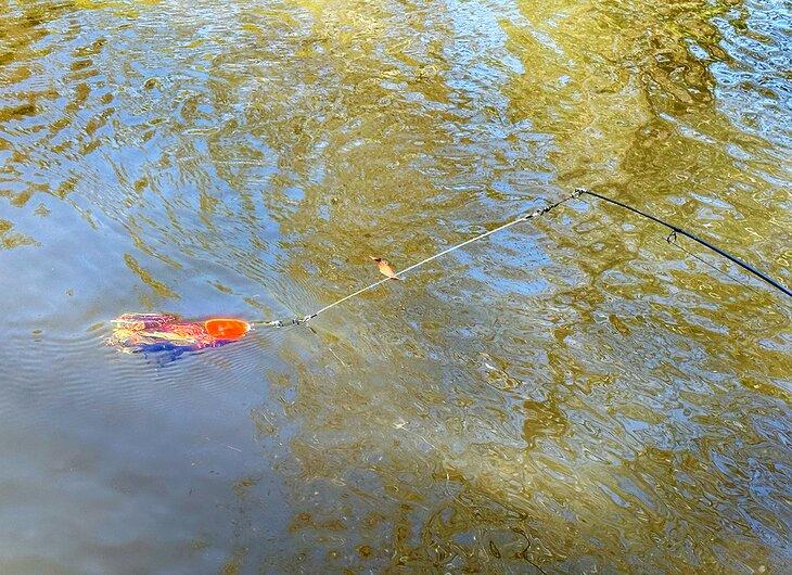 Un leurre dans l'eau dans la rivière French Broad