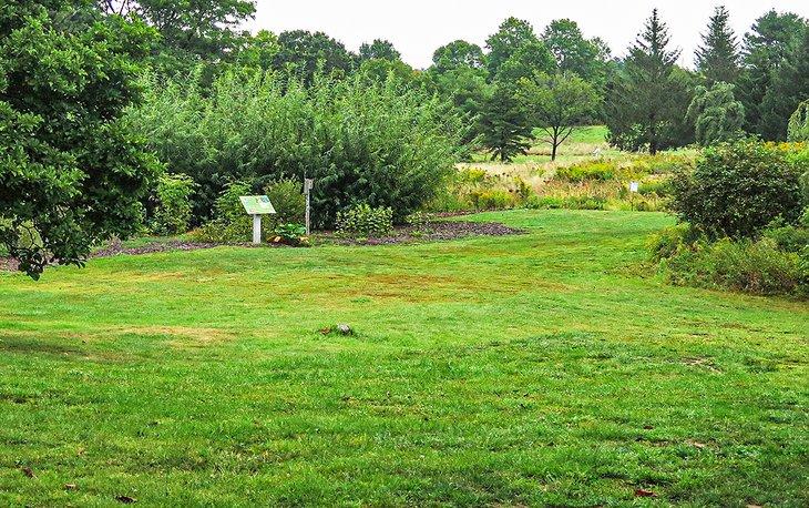 Arboretum Viles