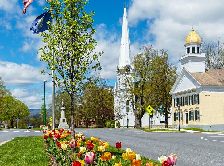 Tulipanes en flor en Manchester, Vermont