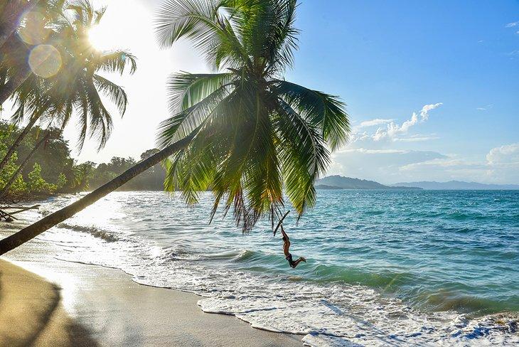 Playa Punta Uva