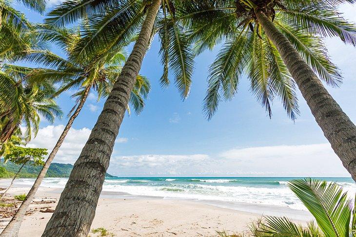 Playa Santa Teresa