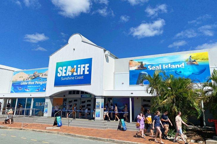 Acuario SEA Life Sunshine Coast