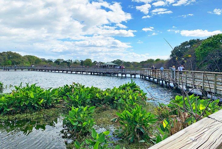 Paseo de los Humedales de Wakodahatchee