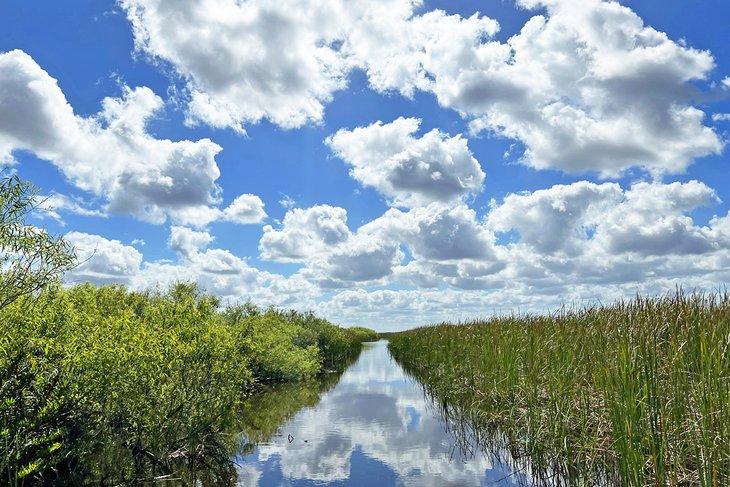 Excursion en bateau à air dans les Everglades